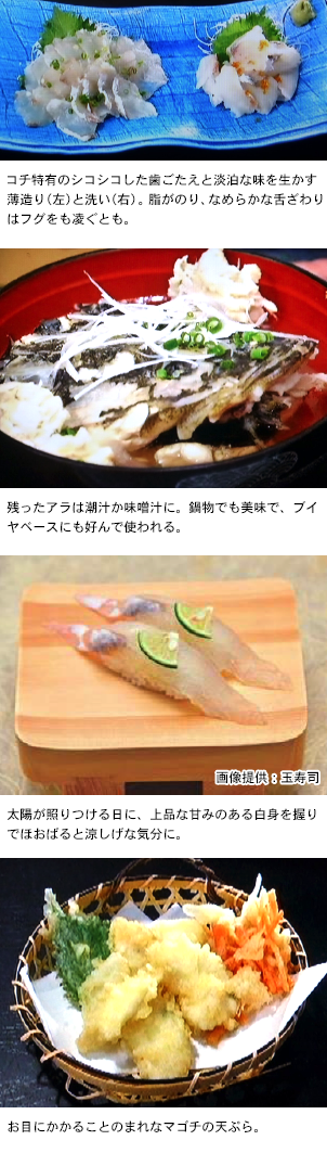 さかな歳時記 二十四節気の魚たち 日本さかな検定 愛称ととけん